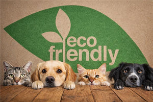 Sustainable Pet Care: 6 Simple Swaps for Eco-Conscious Pet Parents