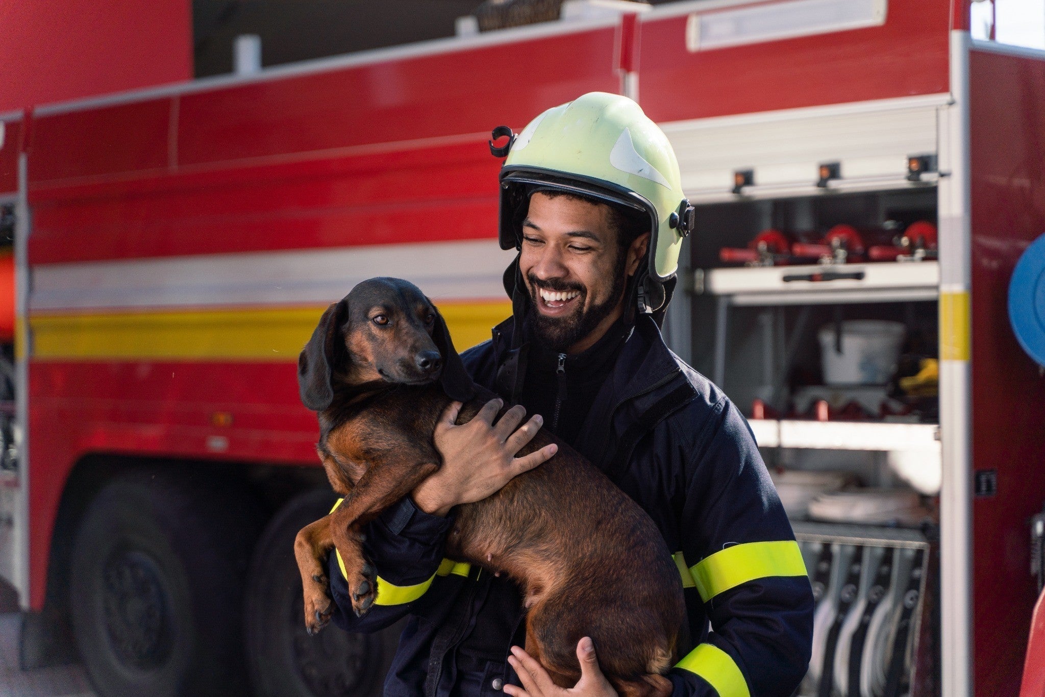 Pet Fire Safety