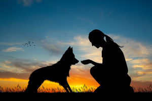 Pet Brands That Give Back
