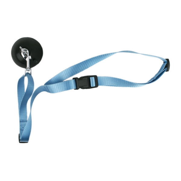 Tall Tails Bath Leash with Suction Cup for Dog Grooming
