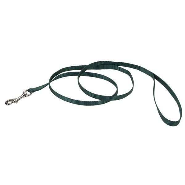 Coastal Single-Ply Dog Leash, Hunter