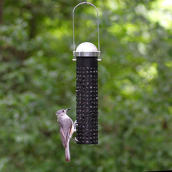 Perky-Pet Metal Sunflower Seed & Peanut Wild Bird Feeder, 10-in