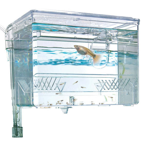 Fluval Hang-On Isolation & Breeding Box
