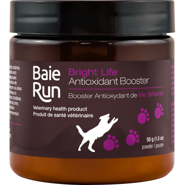 Supplément antioxydant pour chien Baie Run Bright Life, 50 grammes