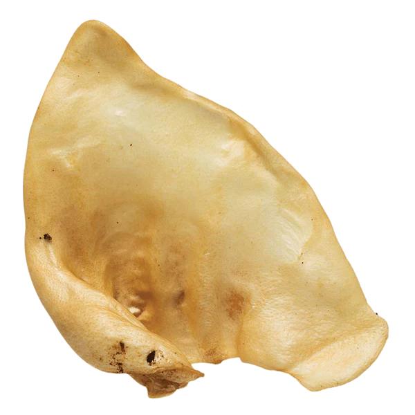 Redbarn Naturals Puffed Sow Ears Dog Treats