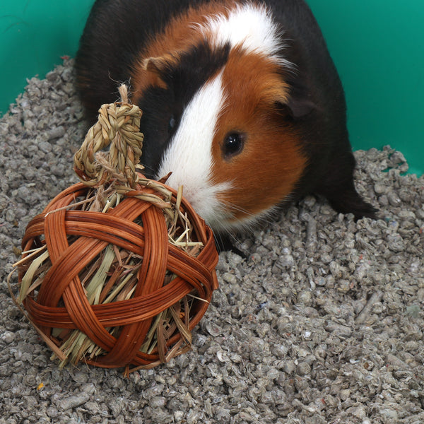 Ware Edible Treat Ball Willow Toy and Treat Dispenser