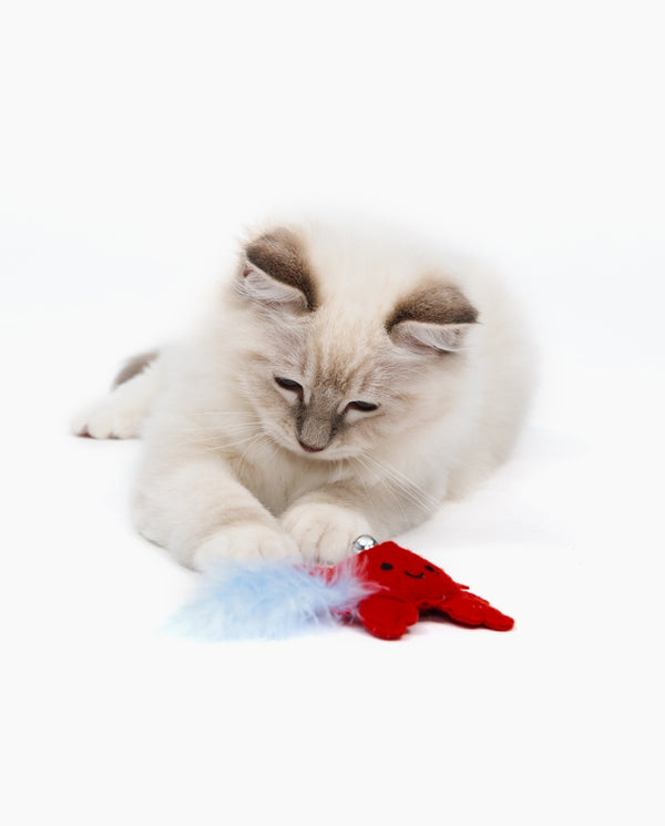 Catit Play Pirates Catnip Toy, Crab