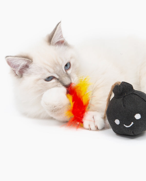 Catit Play Pirates Bomb Catnip Plush Cat Toy