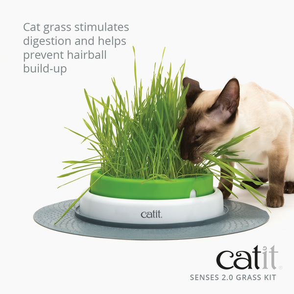 Catit Senses 2.0 Cat Grass Kit