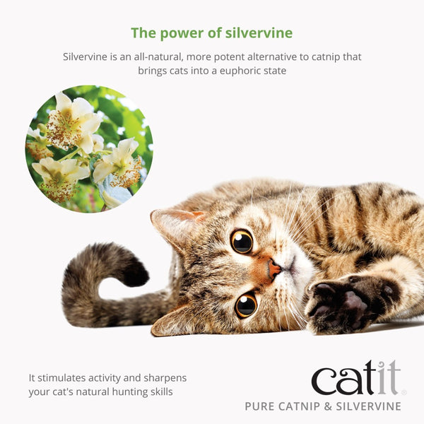 Catit Pure Catnip & Silvervine for Cats