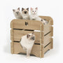 Catit Vesper Cat Lounge Furniture, Cottage, Oak