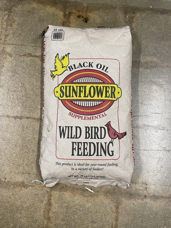 Sunbird Graines de tournesol noires Nourriture pour oiseaux sauvages.