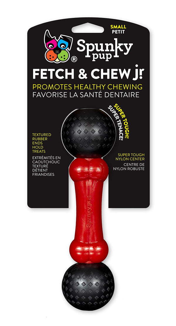 Spunky Pup Fetch & Chew Bone Dog Toy, Small