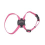 Li'l Pals Harnais pour chien réglable, 5/16 po x 6-10 po, Rose néon