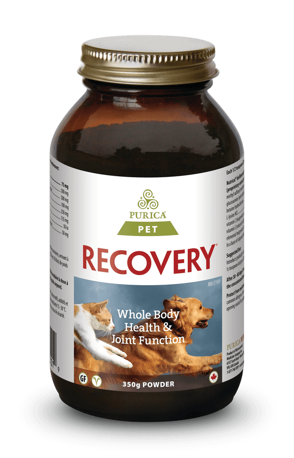 Purica Recovery Powder Dog & Cat Supplement, 350-gram