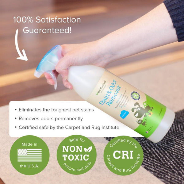 Earth Rated Stain & Odor Remover, Unscented, 32-oz bottle