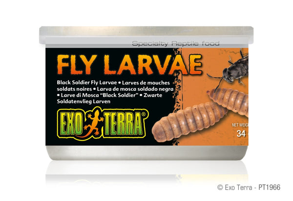 Exo Terra Fly Larvae Reptile Food