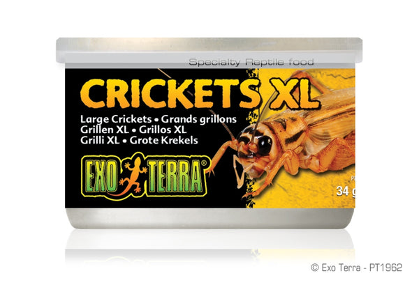 Exo Terra Grandes Grillons Nourriture pour reptiles, pot de 1.2 oz