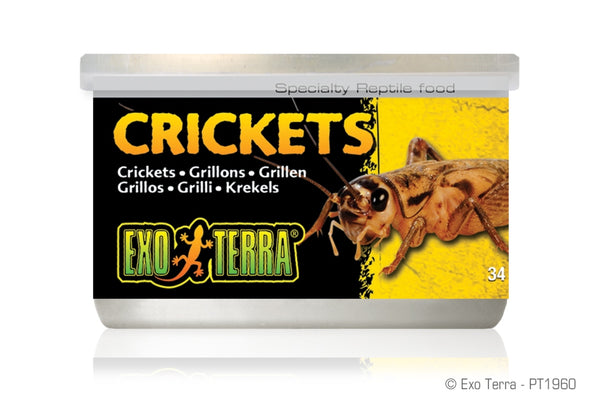 Exo Terra Petits grillons Nourriture pour reptiles, pot de 1,2 oz