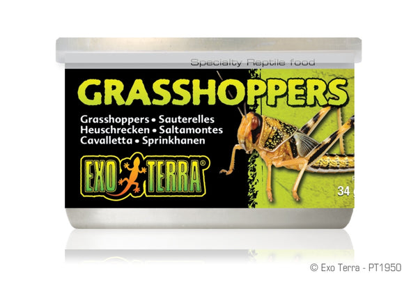 Exo Terra Nourriture pour reptiles Sauterelles, pot de 1.2 oz