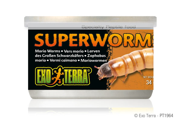 Exo Terra Canned Superworms Reptile Food
