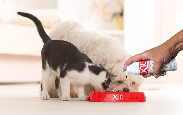 X10 Super Nutrient Food Topper pour chiens et chats, 2.7 oz / 80 mL