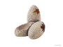 Exo Terra Dinosaur Eggs Hide & Water Dish