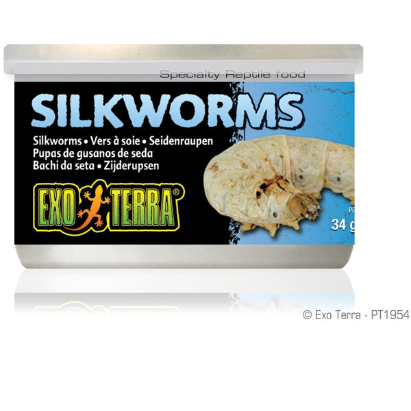 Exo Terra Silkworms Reptile Food
