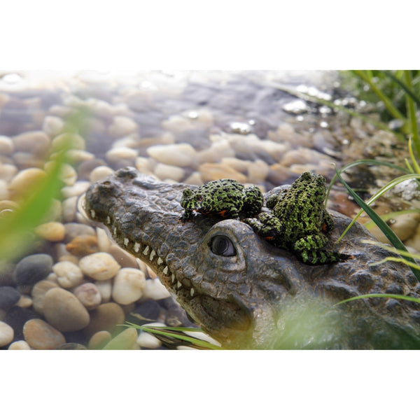 Exo Terra Croc Turtle Island