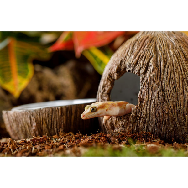 Exo Terra Coconut Hide & Dish for Reptiles
