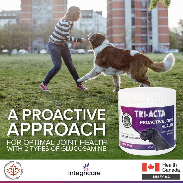 Tri-Acta Regular Strength Joint Health Supplement for Large Dogs