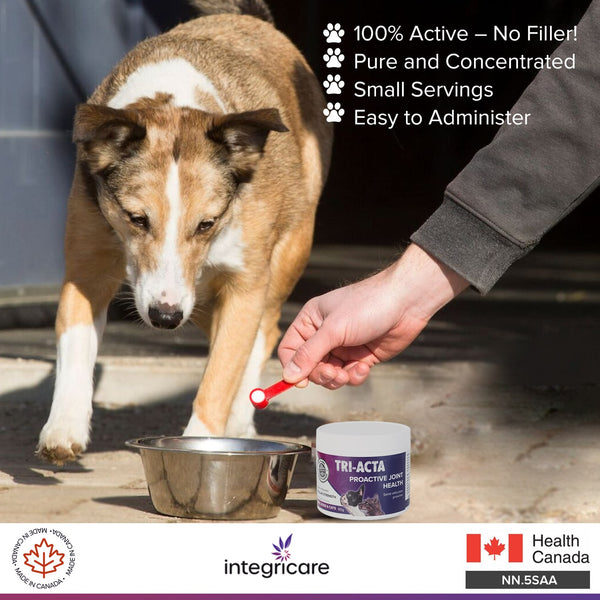 Tri-Acta Regular Strength Joint Health Supplement for Small Dogs & Cats