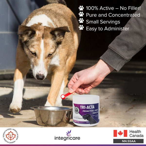 Tri-Acta Regular Strength Joint Health Supplement for Large Dogs