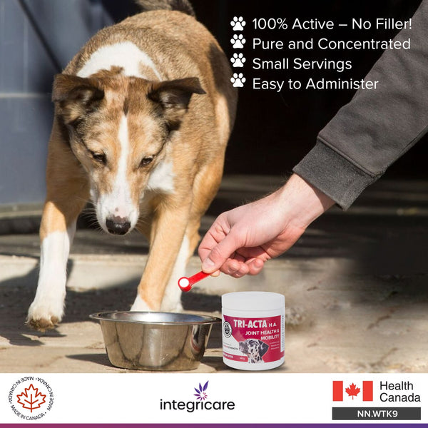 Tri-Acta H.A. Maximum Strength Joint Health Supplement for Medium Dogs
