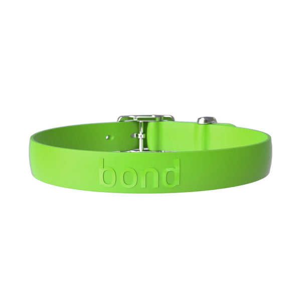 Original Bond Dog Collar, Lime