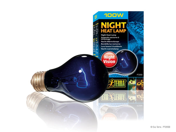 Exo Terra Night Heat Bulb Reptile Lamp