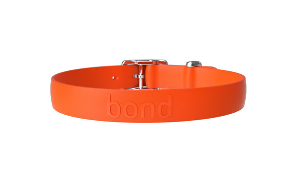 Original Bond Dog Collar, Tangerine