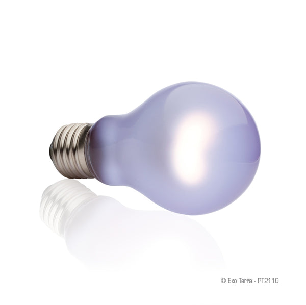 Exo Terra Daytime Heat Reptile Lamp