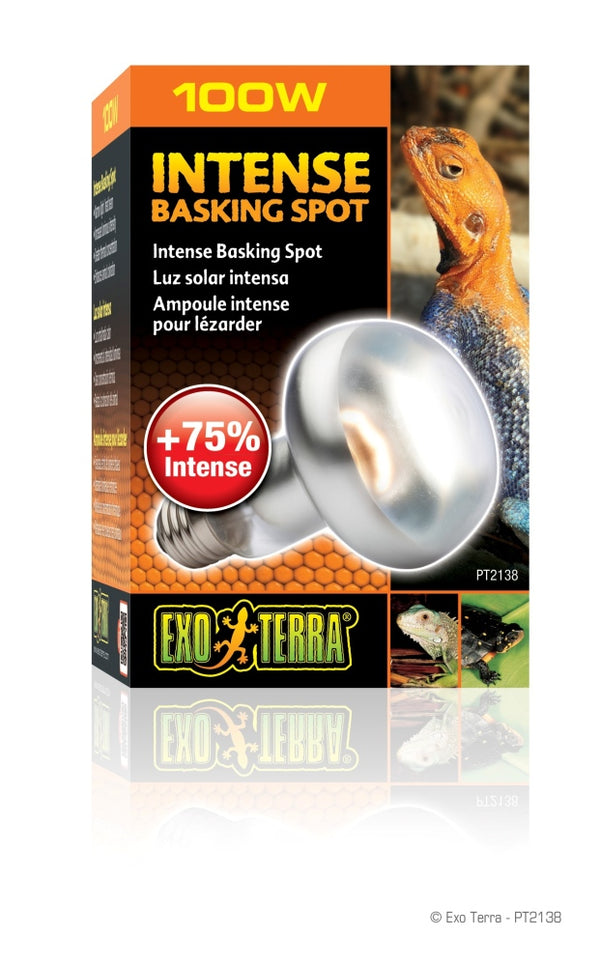 Exo Terra Intense Basking Reptile Spot Lamp