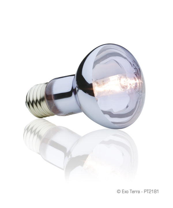 Exo Terra Sun Glo Halogen Daylight Reptile Lamp