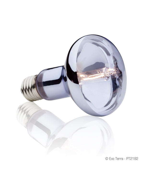 Exo Terra Sun Glo Halogen Daylight Reptile Lamp