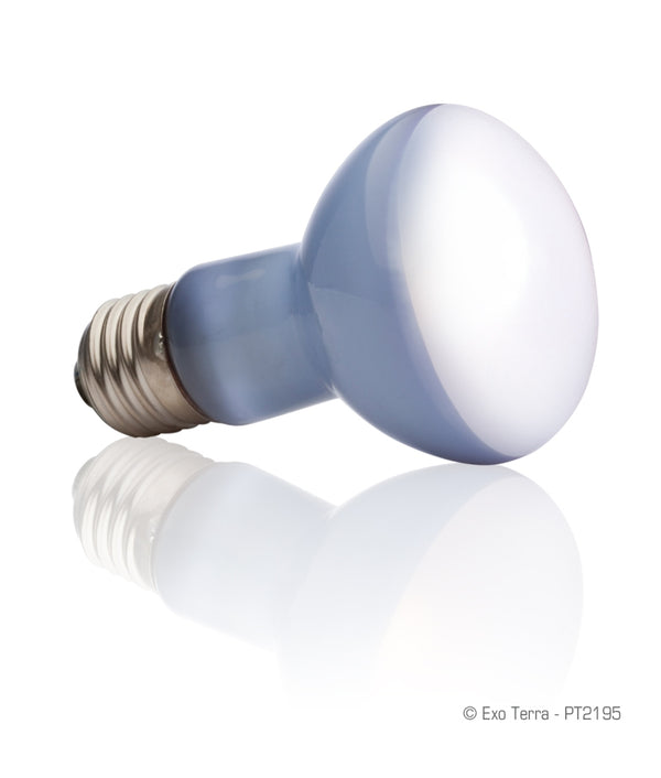 Exo Terra Daylight Basking Reptile Spot Lamp, 25-w bulb