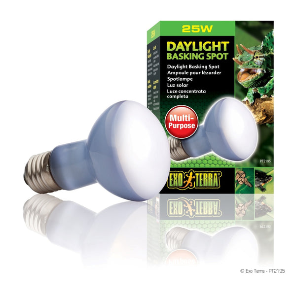 Exo Terra Daylight Basking Reptile Spot Lamp, 25-w bulb