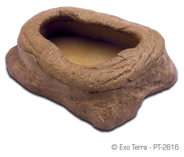Exo Terra Mealworm Feeder