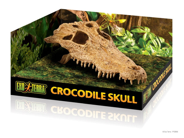Exo Terra Terrarium Décor, Crocodile Skull