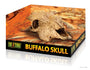 Exo Terra Terrarium Décor, Buffalo Skull