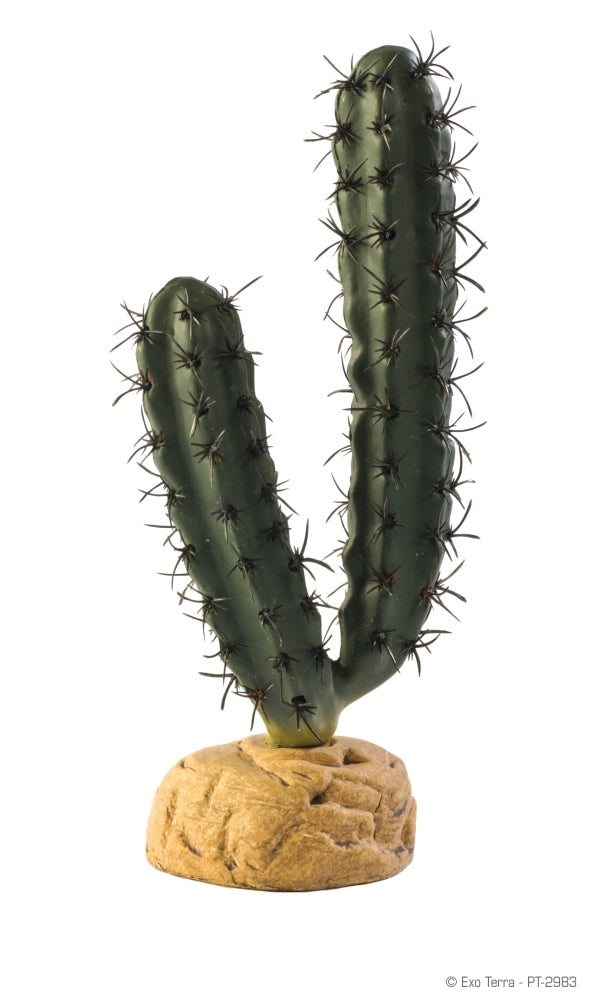 Exo Terra Desert Finger Cactus Terrarium Plant