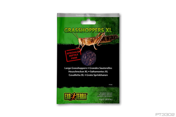 Exo Terra Vacuum Packed Specialty Reptile Food, Grasshoppers XL