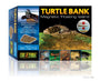 Exo Terra Turtle Bank for Terrariums