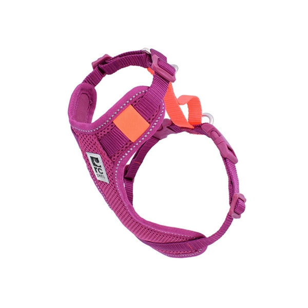 RC Pets Moto Control Dog Harness, Mulberry/Hot Coral